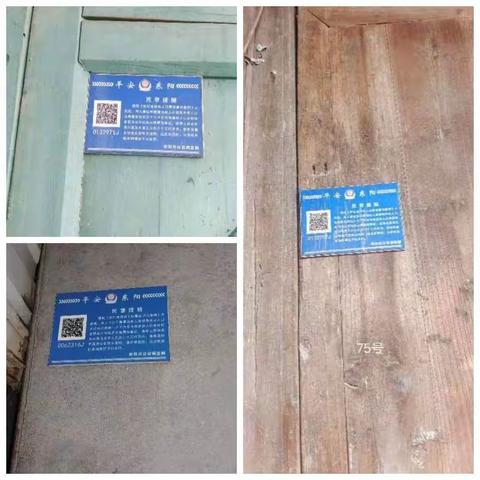 张顺芳的美篇