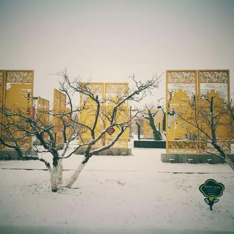 春雪