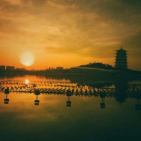 春雨过后的西安世博园