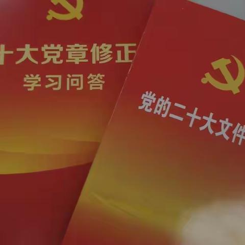 机构业务部以实际行动践行党的二十大精神