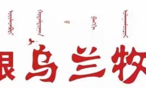 ETC营销之走进我行区分行扶贫点巴彦乌兰苏木