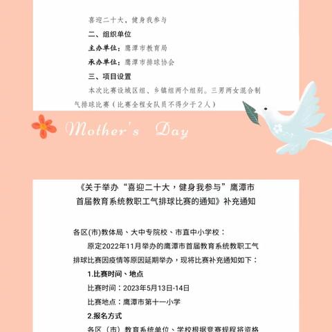 展教师风采，扬马荃精神         ——记“喜迎二十大 健身我参与”气排球比赛