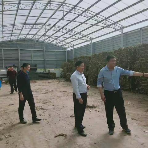 迎接全国农村垃圾治理及分类处理试点工作推进现场会在我县顺利召开