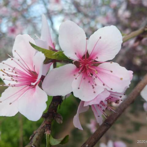巧用他山之石     助力三中发展