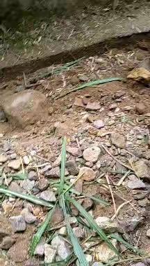 连日干旱用水难   村民及时处理暖民心
