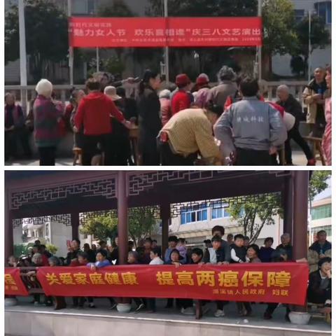 花开三月天   巾帼淀芳华