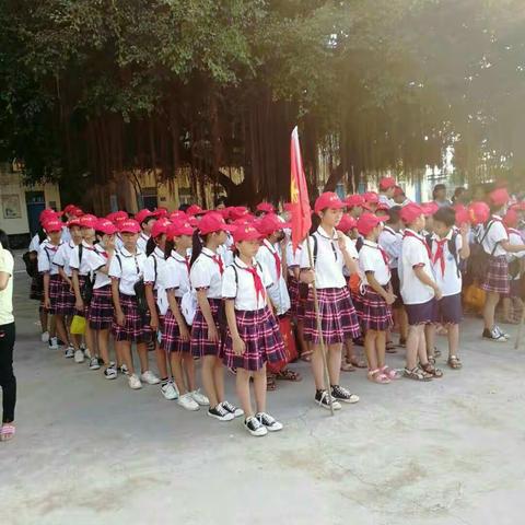 古村小学师生积极参加社会实践活动