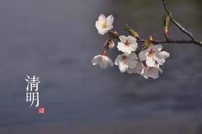 弘扬传统节日，传承名俗文化 ——小班清明节主题活动