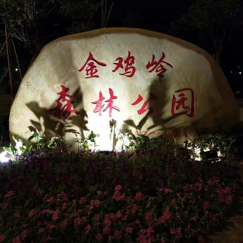 金鸡岭森林公园夜景