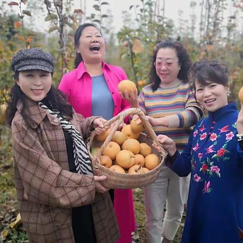 品味甘甜，采摘欢乐