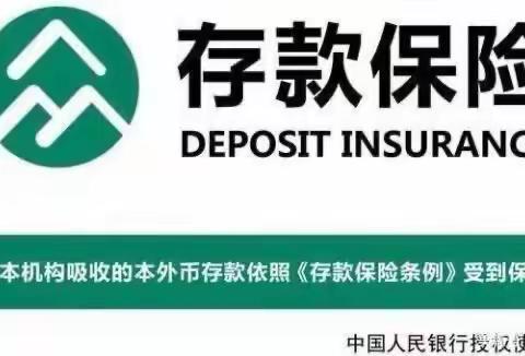 界沟支行存款保险宣传