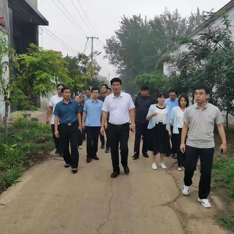 天台山镇扎实开展第三次“人居环境整治周观摩”活动