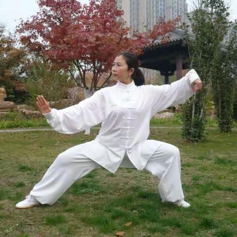 太极拳我终生的陪伴 老了 我仍选择太极