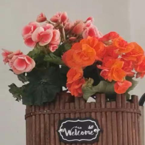 语文学习最关键的四件事 ——练字、阅读、积累、写作