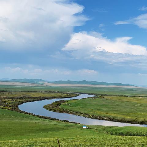 2019．8月～9月，内蒙古呼伦贝尔草原（副本）