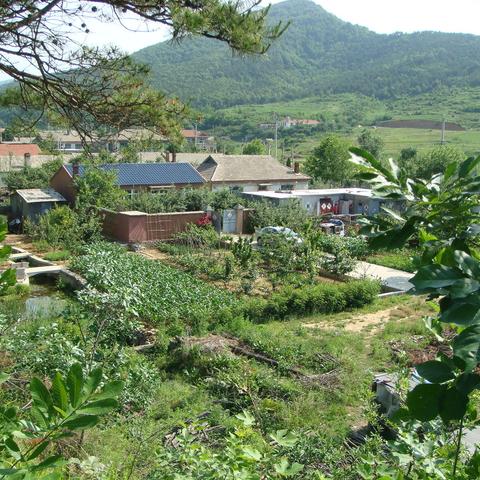 田园生活（2004～2019）之1 田舍篇