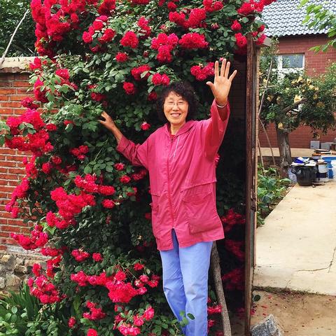 田园生活 （2004～2019）之2 农作物篇