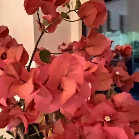 美篇用户的美篇