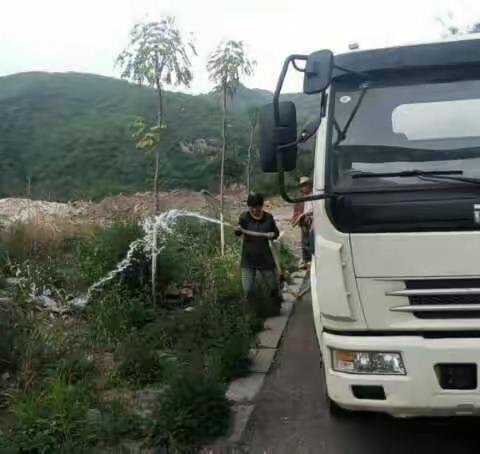 淇滨区各乡镇积极巩固全域绿化成果