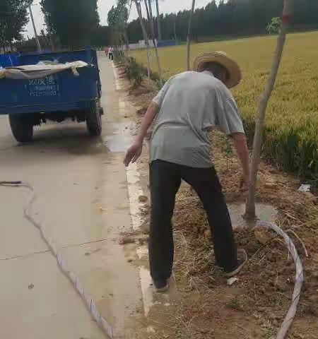 淇滨区国土绿化行动每日动态
