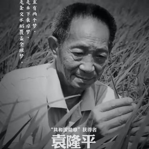 不畏艰辛，甘于奉献。悼念学习袁隆平——-伾山东张庄小学主题队会。