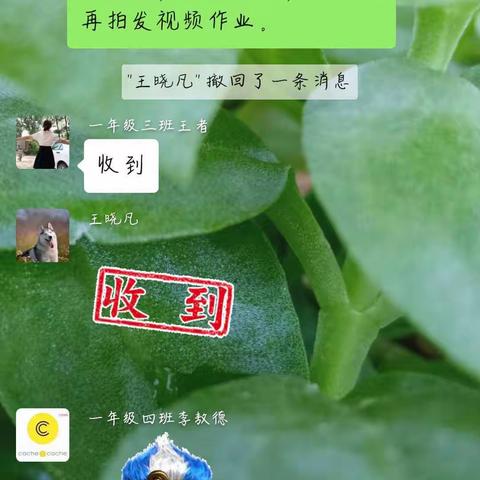 宋楼镇中心小学北校线上教学云课堂——一二年级音乐课