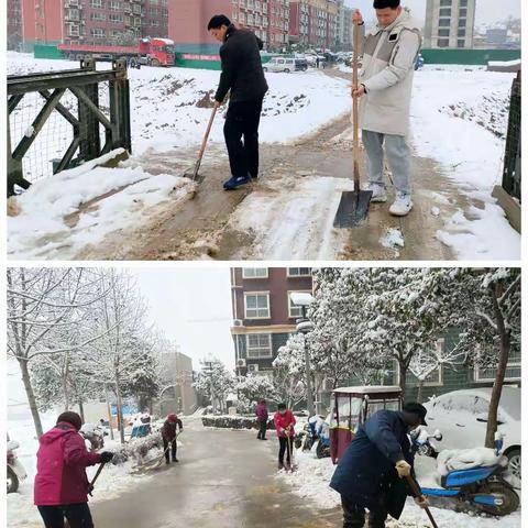 明月除雪总动员 严寒清雪便民行 ——明月村开展清除积雪