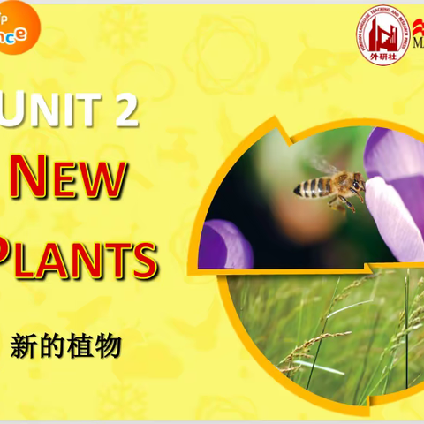 走进科技英语世界，提升学科核心素养——高年级第五期 New Plants