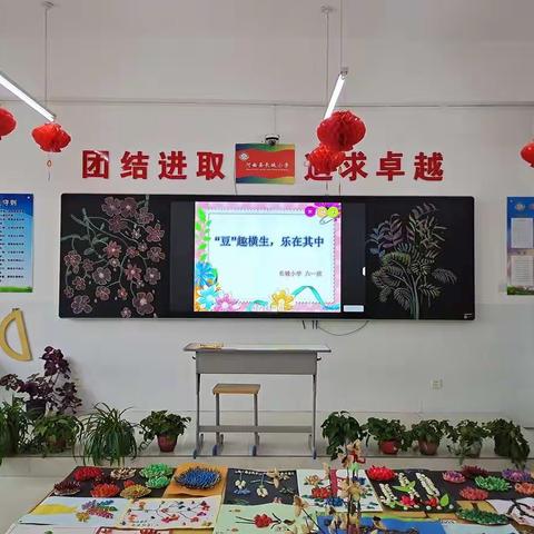 长城小学六一班综合实践活动课——“豆”趣横生，乐在其中