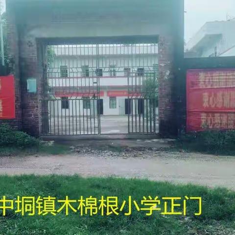 中垌镇木棉根小学