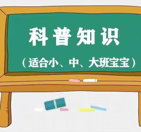 亲子居家抗疫情，家园牵手共陪伴——北京蒙氏幼儿园