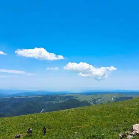 爱绿护绿，人人有责，保护生态环境，共建美好家园