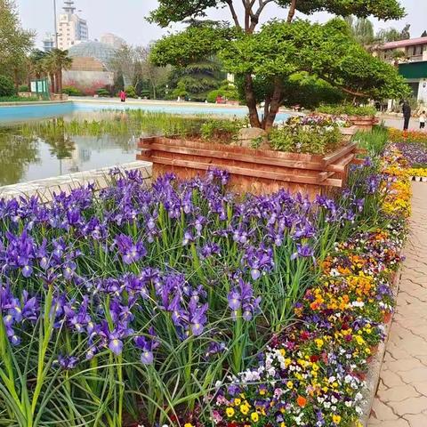 靓丽街道   勤劳园工