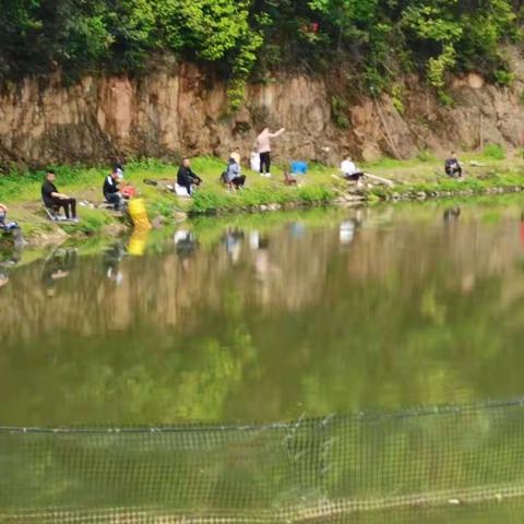 “疫”起不回家|浯口中心小学教师清明节活动