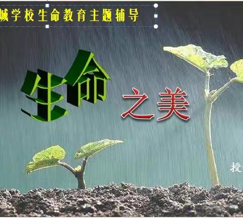 水晶晶新城学校开展生命教育专题辅导