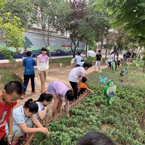 南马：创建国家卫生城市我们一直在努力