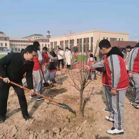 “春风十里  植树节有你”---定陶区第五实验小学植树节系列活动