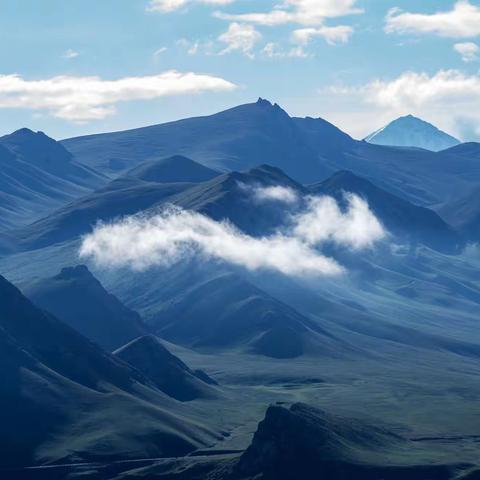 南疆行20210615～0628下篇    风信子  瘦猪待兔制作