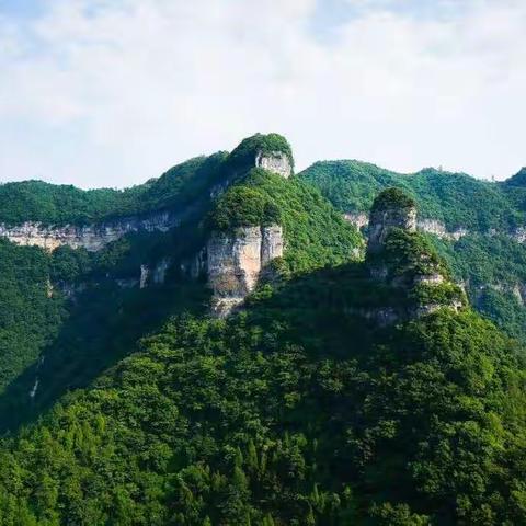 醉一场青春流年