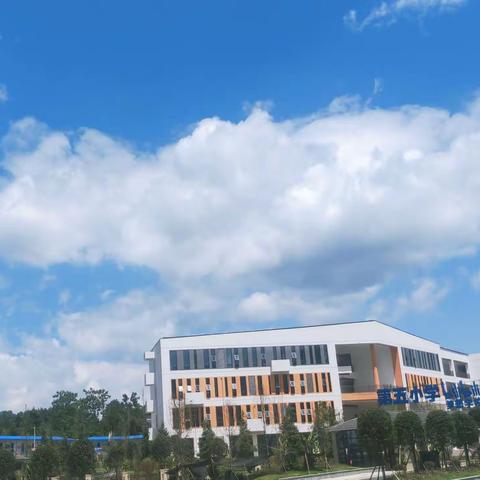 线上研讨促成长 作业精设助“双减”，——江苏扬中 ·务川五小远程培训第二期线上备课活动