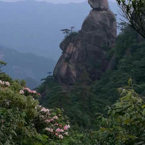 生活不止有眼前的苟且，还有远方的三清山（外一篇）