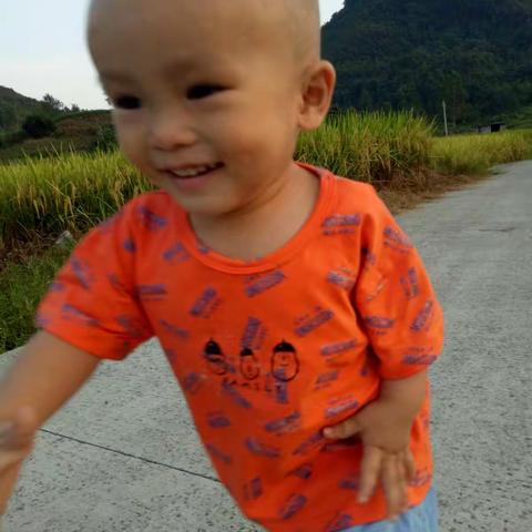 田园风光（2019.08.15洞塘同桌哥家）