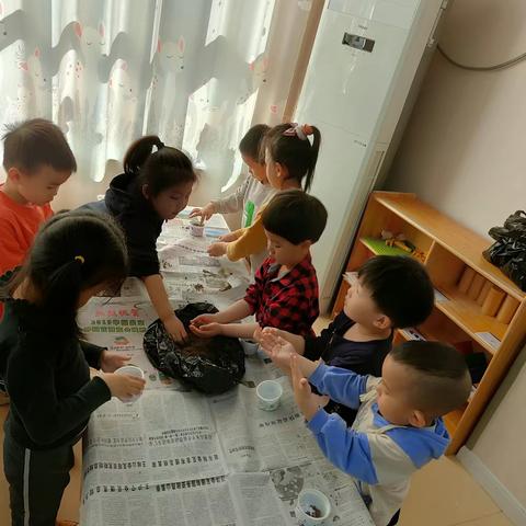 廊坊经济技术开发区第一幼儿园小三班种植大蒜活动