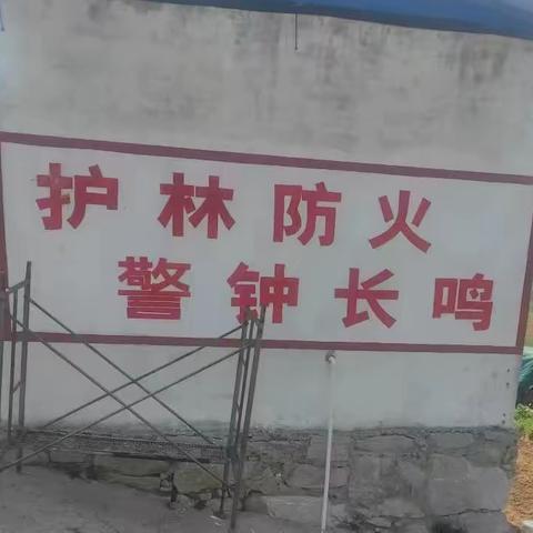 图说林安｜别样五一，您追求“人间烟火气”，我守岗防火保平安