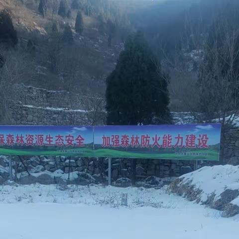 自然保护区不是旅游区｜冬日的守护