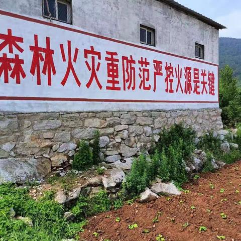 图说林安｜安全生产月里说安全
