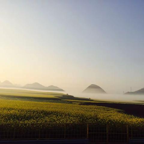 东方花园，魅力罗平。