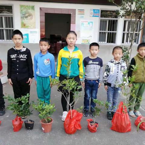 植树节 我们在行动—记黎光小学植树节活动