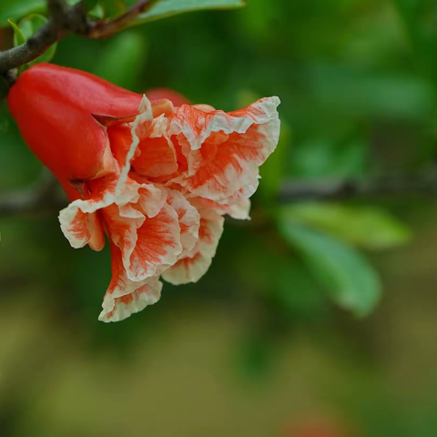 送教下乡传真知 互动教研促成长