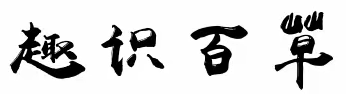 【枣庄市实验小学】校本课程——一年级趣识百草